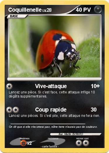 Pokemon Coquillenelle
