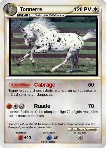 Pokemon Tonnerre