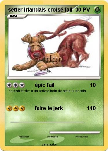 Pokemon setter irlandais croisé fail