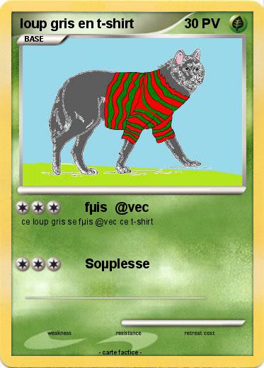 Pokemon loup gris en t-shirt