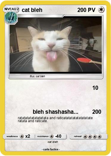 Pokemon cat bleh