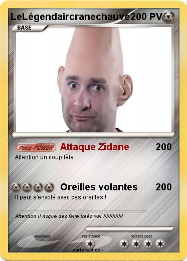 Pokemon LeLégendaircranechauve