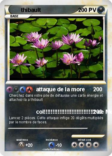 Pokemon thibault