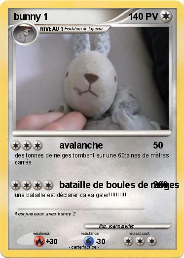Pokemon bunny 1