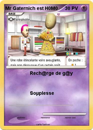 Pokemon Mr Gaternich est H0M0