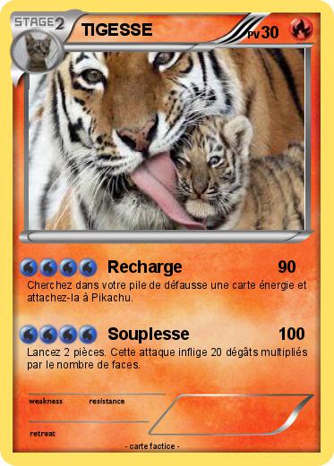 Pokemon TIGESSE