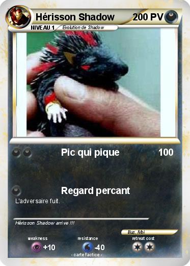 Pokemon Hérisson Shadow