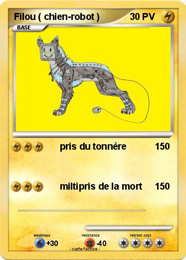 Pokemon Filou ( chien-robot )