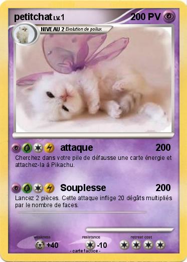 Pokemon petitchat