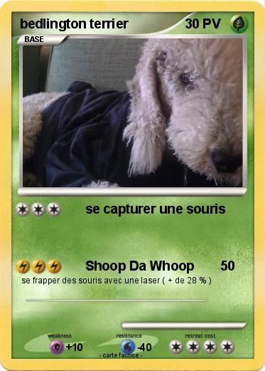 Pokemon bedlington terrier