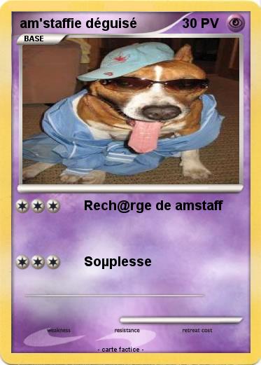 Pokemon am'staffie déguisé