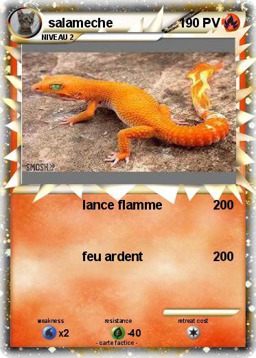 Pokemon salameche