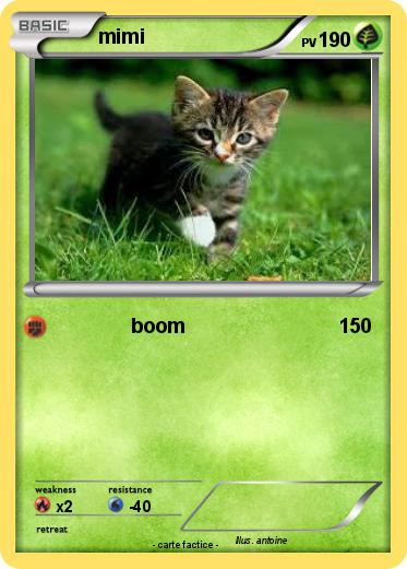 Pokemon mimi