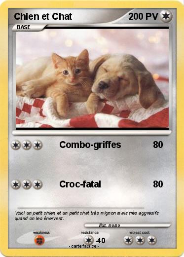 Pokemon Chien et Chat