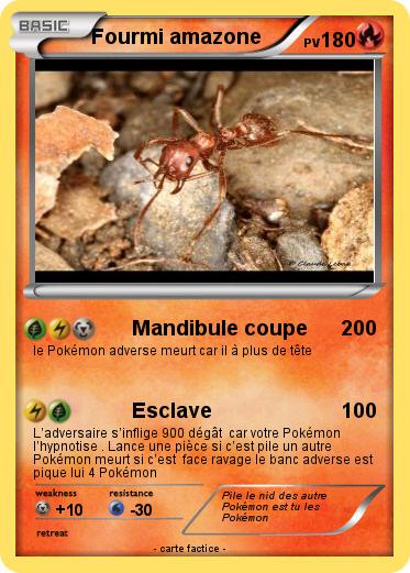 Pokemon Fourmi amazone