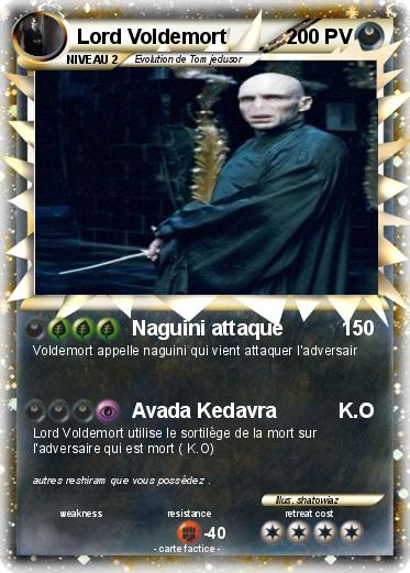 Pokemon Lord Voldemort