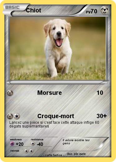 Pokemon Chiot