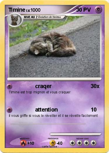 Pokemon Timine