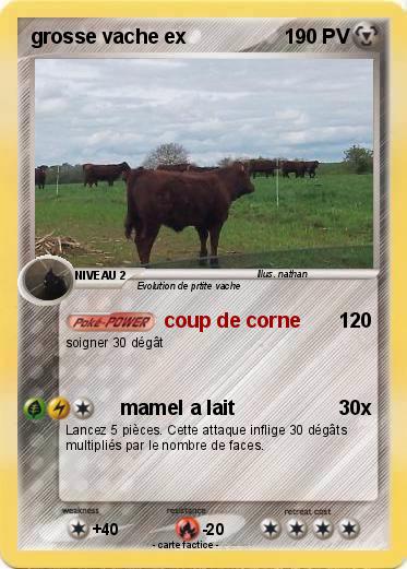 Pokemon grosse vache ex