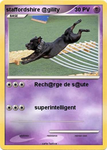 Pokemon staffordshire @gility