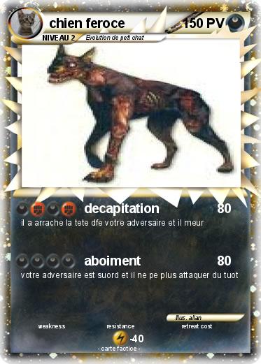 Pokemon chien feroce