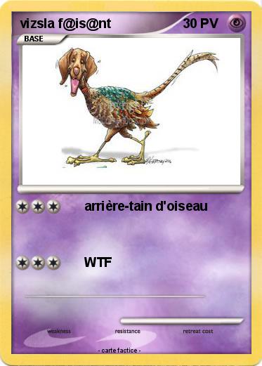Pokemon vizsla f@is@nt