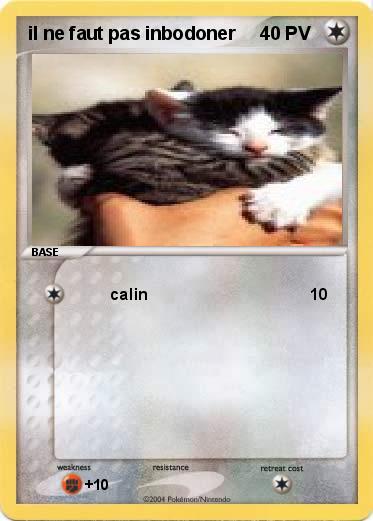 Pokemon il ne faut pas inbodoner