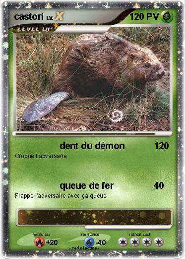 Pokemon castori
