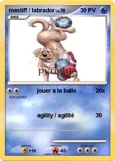 Pokemon mastiff / labrador