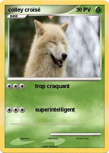 Pokemon colley croisé