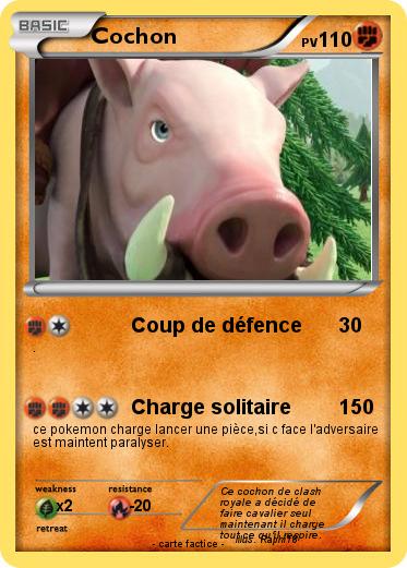 Pokemon Cochon