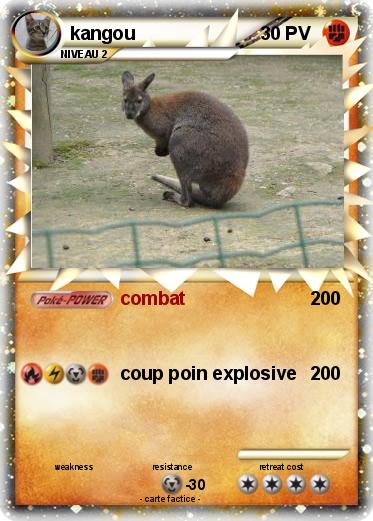 Pokemon kangou