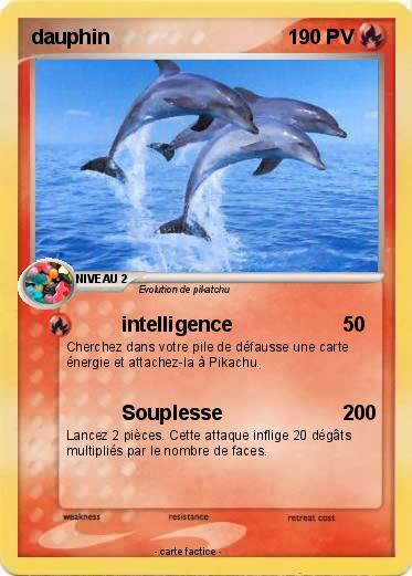 Pokemon dauphin