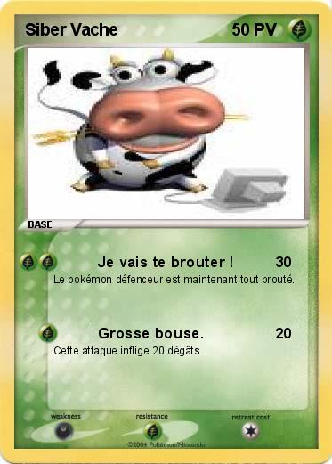 Pokemon Siber Vache