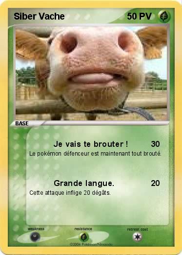 Pokemon Siber Vache
