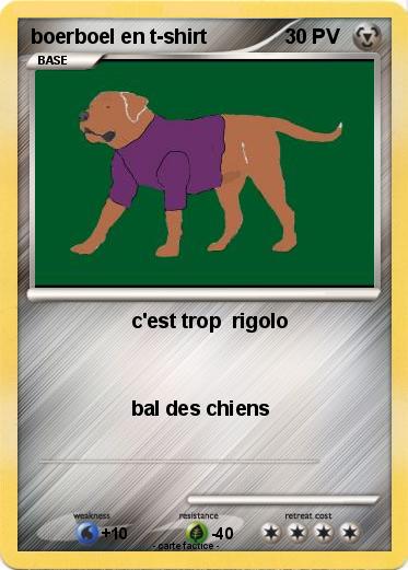 Pokemon boerboel en t-shirt