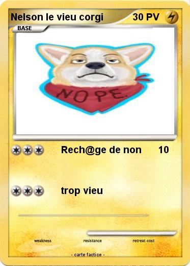 Pokemon Nelson le vieu corgi