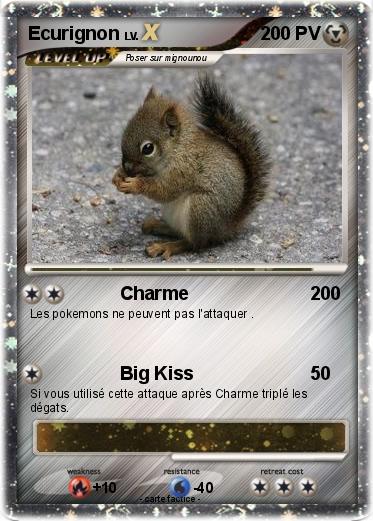 Pokemon Ecurignon