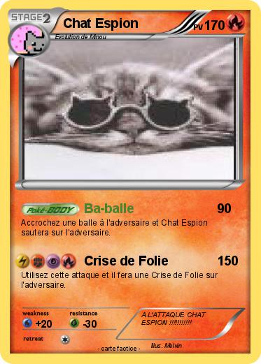 Pokemon Chat Espion