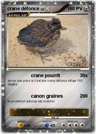 Pokemon crane défonce