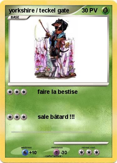 Pokemon yorkshire / teckel gate