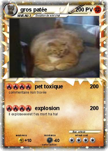 Pokemon gros patée