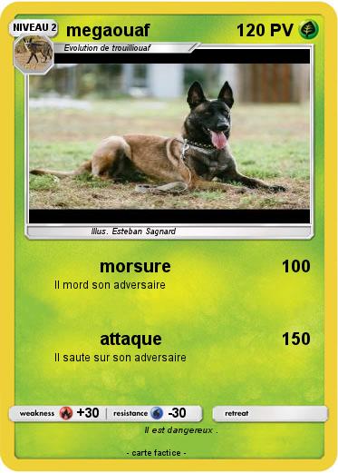 Pokemon megaouaf