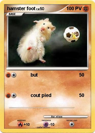 Pokemon hamster foot
