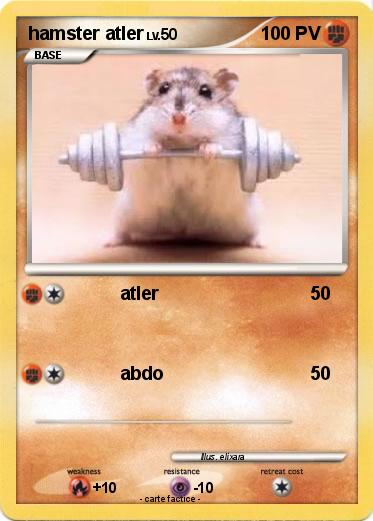 Pokemon hamster atler