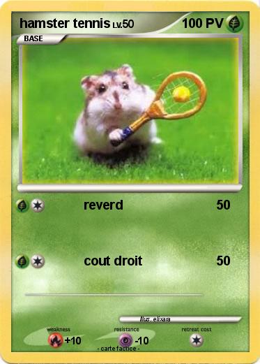 Pokemon hamster tennis