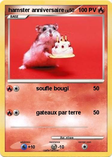 Pokemon hamster anniversaire