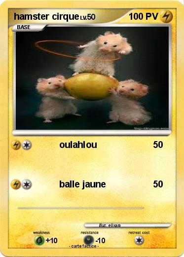 Pokemon hamster cirque