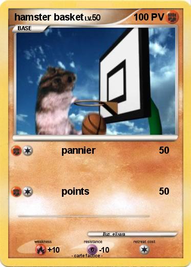 Pokemon hamster basket