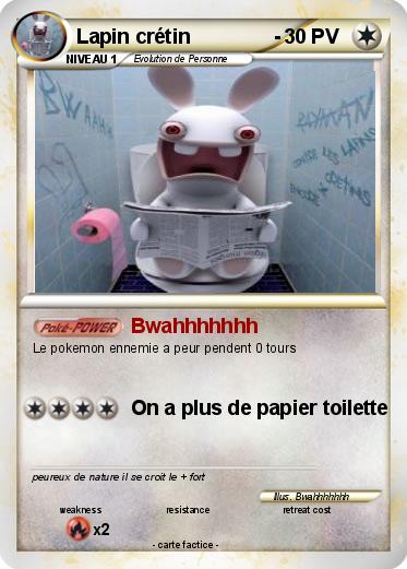 Pokemon Lapin crétin               -